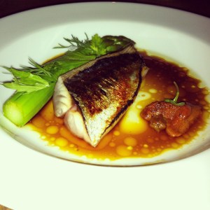 Mackerel