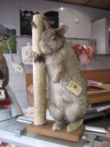 bunny drinking bourbon